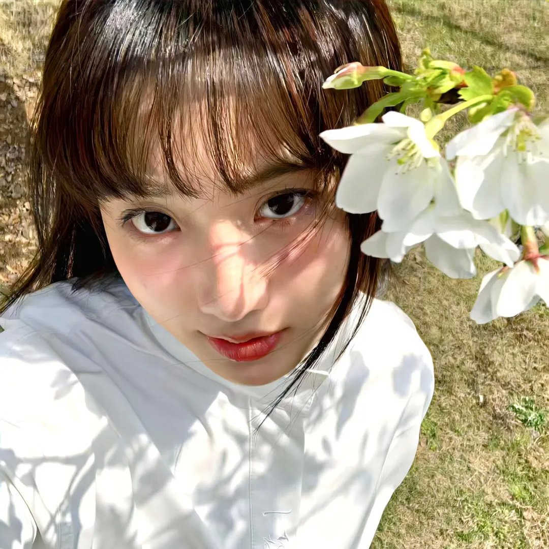 茉莉花